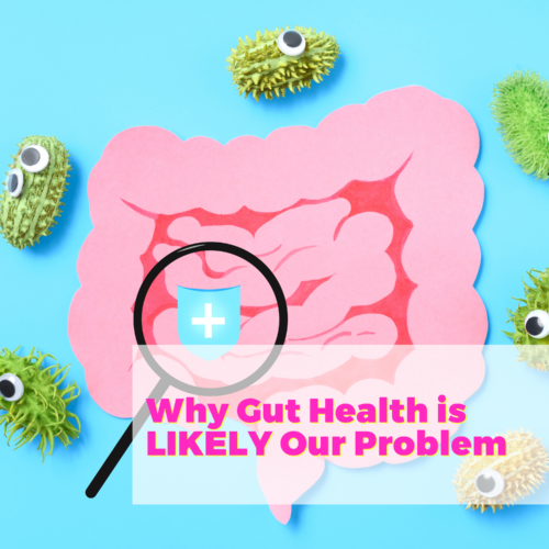 Why Gut Health is LIKELY Our Problem with Dr. Vincent Pedre and Natalie Jill