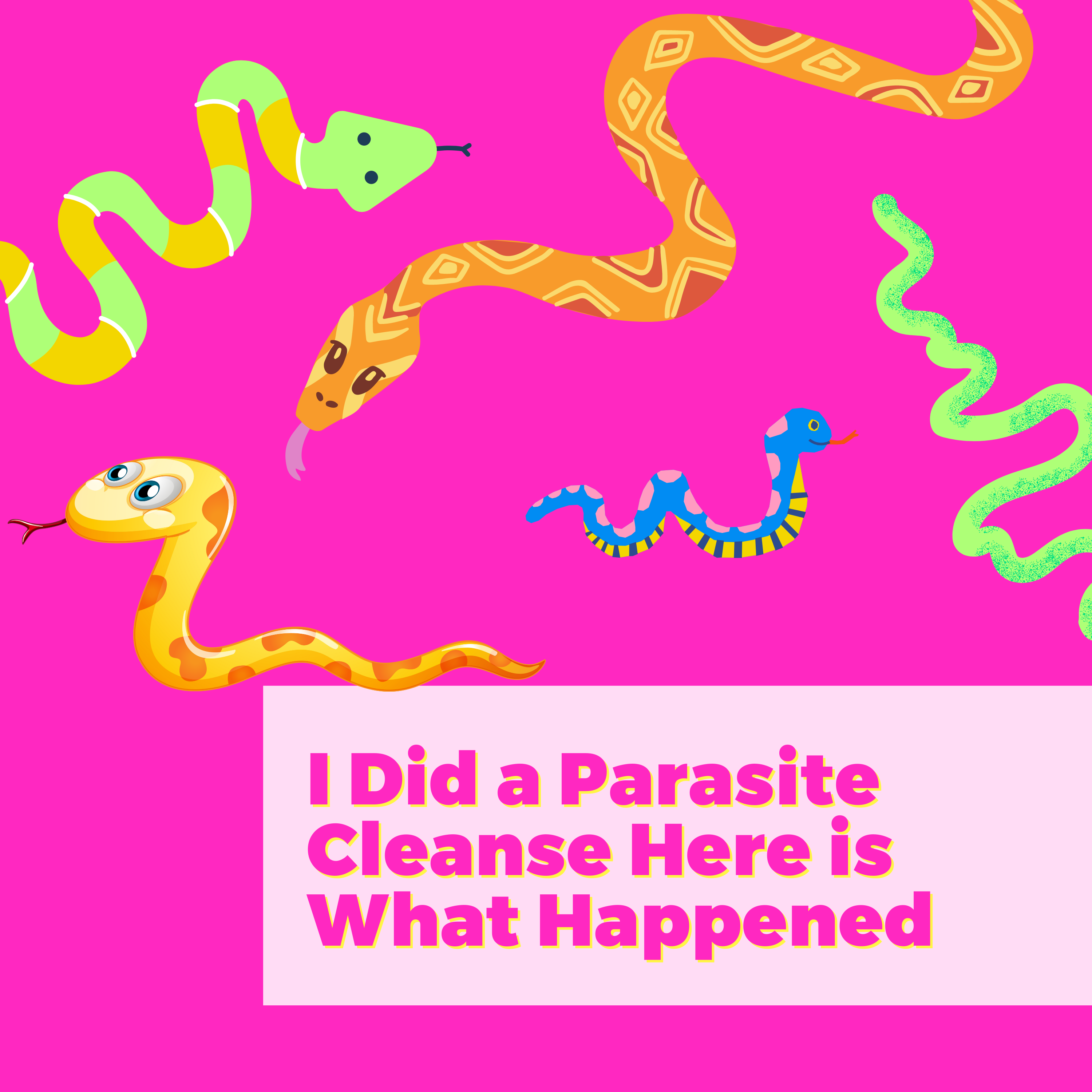 I Did a Parasite Cleanse Here is What Happened with Laura Frontiero and Natalie Jill