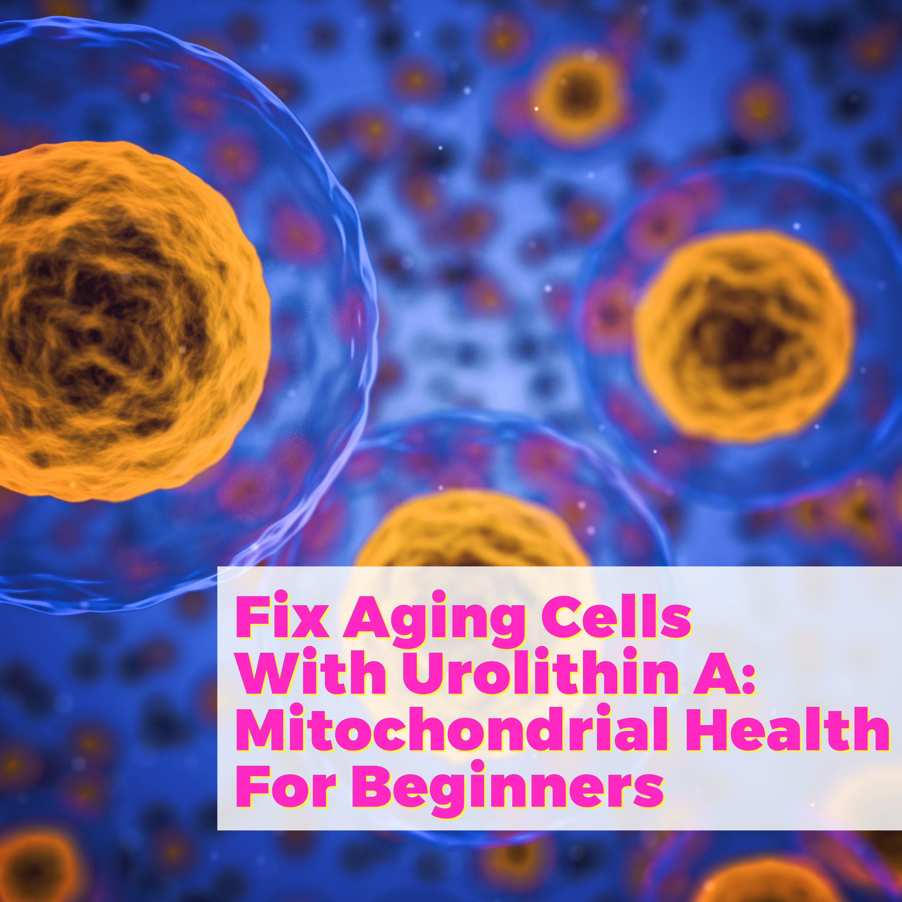 Fix Aging Cells With Urolithin A: Mitochondrial Health For Beginners with Jennifer Scheinman